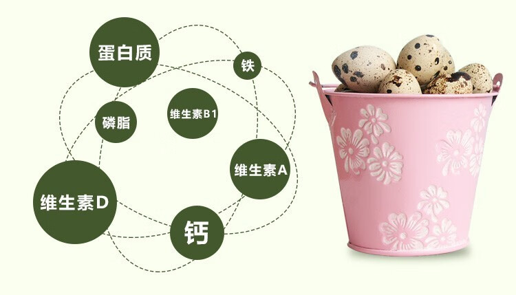 芮瑞 新鲜生鹌鹑蛋 105枚 图1