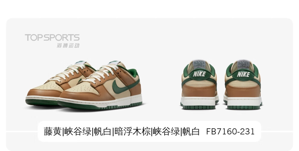 耐克 NIKE DUNK LOW RETRO 男子运动鞋 FB7160-231 39