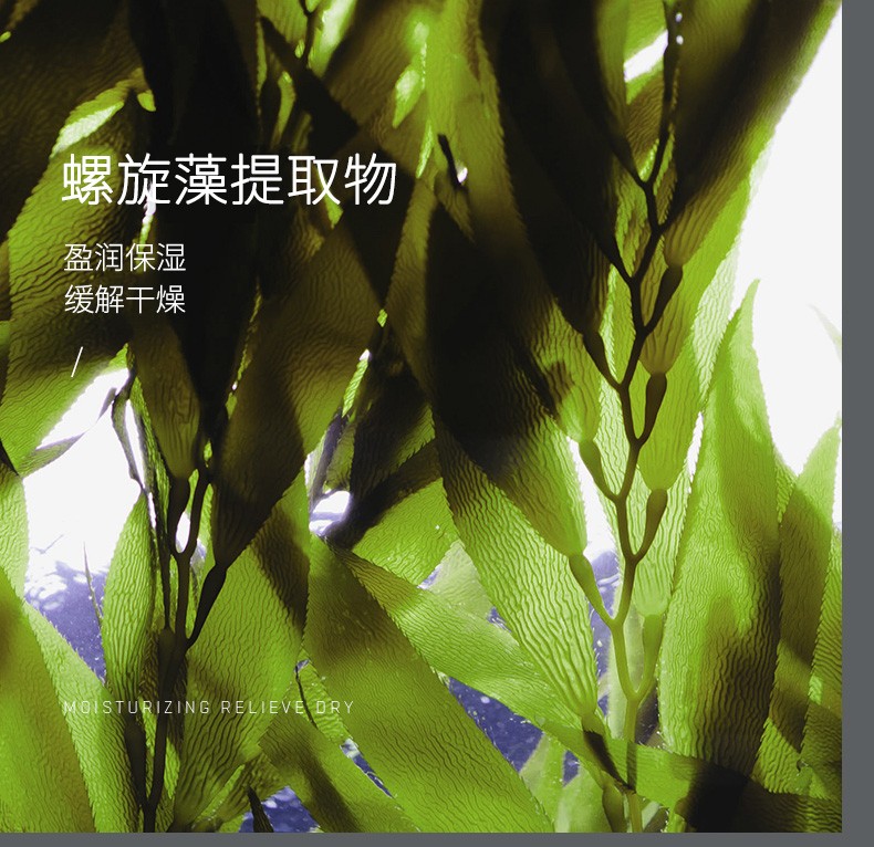 SKT螺旋藻绿眼膜贴黄金眼膜贴淡化黑眼圈细纹补水眼纹改善眼袋提拉紧致男士女士60片 螺旋藻绿眼膜 86g