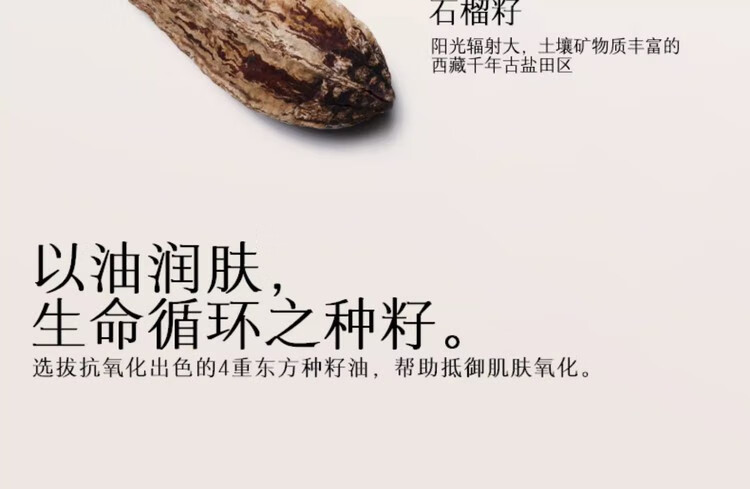 玛丽黛佳种籽气垫贴肤锁妆持妆肌柔光滋润粉底液遮瑕粉 W01皑雾正装