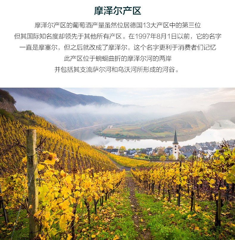 智利原瓶原装进口红酒 卡乐门carmen干红葡萄