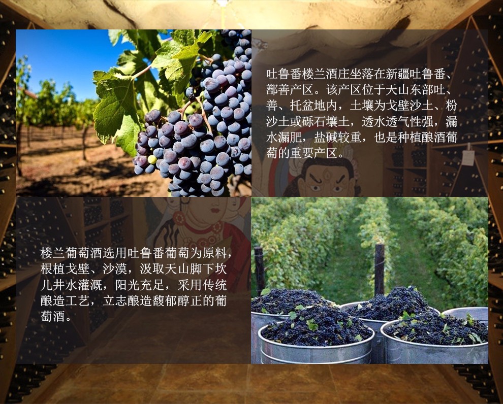 中国酒庄酒 新疆红酒 吐鲁番干红葡萄酒 楼兰 分享级蛇龙珠干红750ml