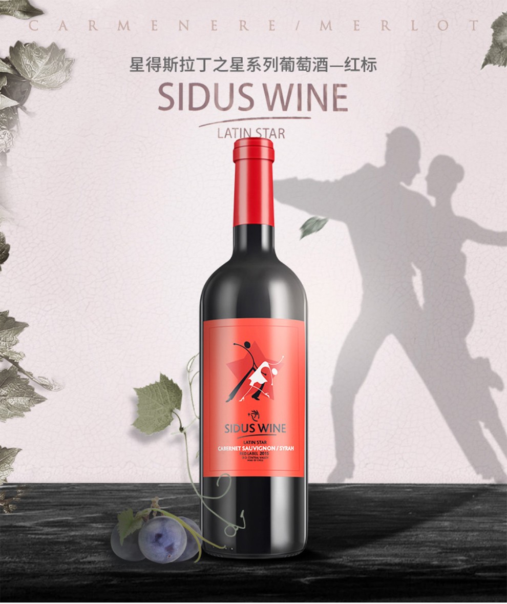 星得斯拉丁之星红标智利原瓶进口红酒13度赤