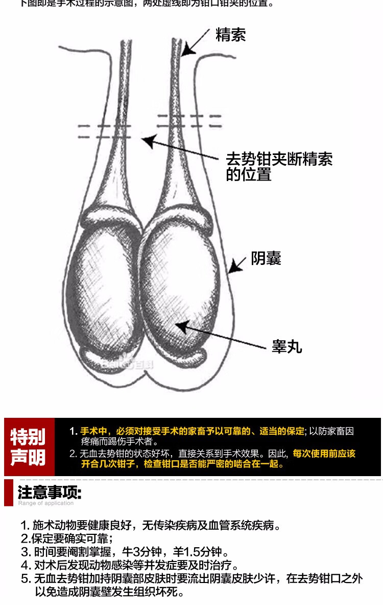 牧多多 公羊去势钳 无血不锈钢煽羊钳 阉羊钳碳钢羊去势钳 阉割钳 夹