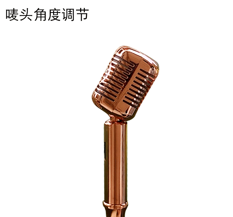 靓韵麦克风复古摇摆话筒有线家庭ktv落地立k歌麦支架一体式包房专用