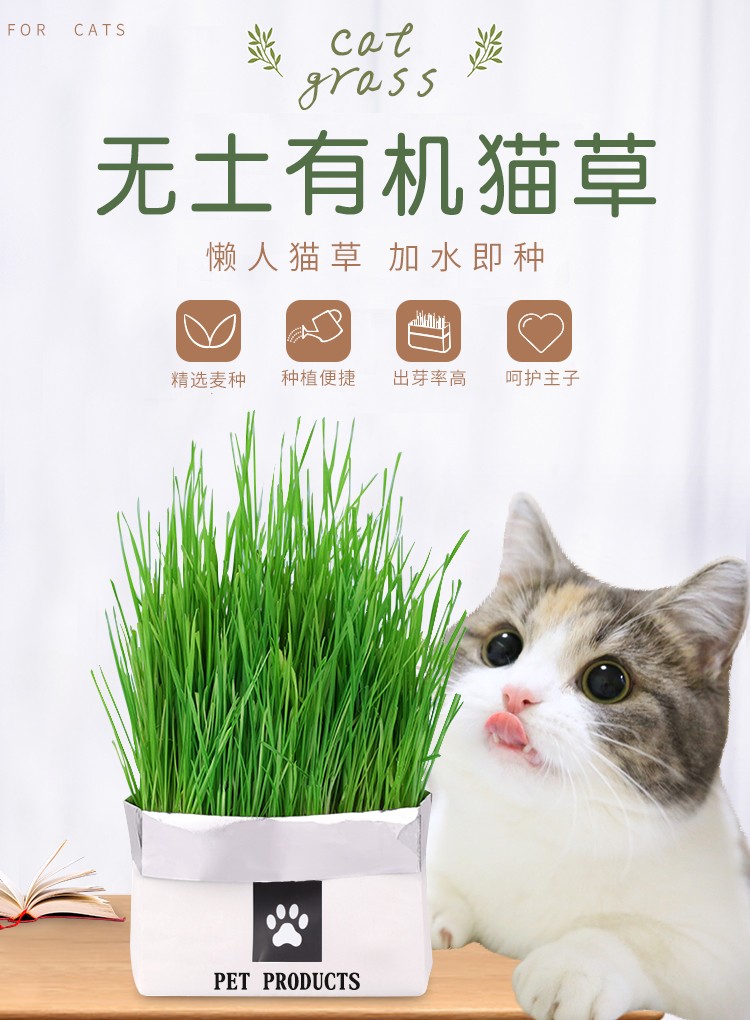 憨憨宠猫草猫零食猫薄荷猫草种子去毛球无土壤猫草吐毛球猫咪零食无土有机猫草黑麦 图片价格品牌报价 京东