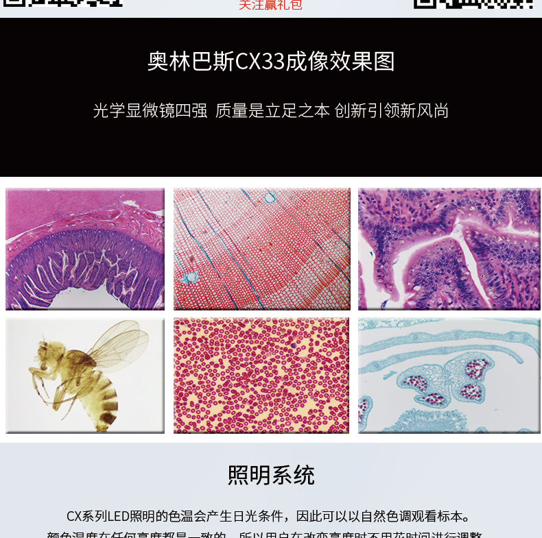 奥林巴斯CX33生物显微镜临床级显微镜宠物医院科研*病理显微镜替代奥林巴斯CX31生物显微镜 三目