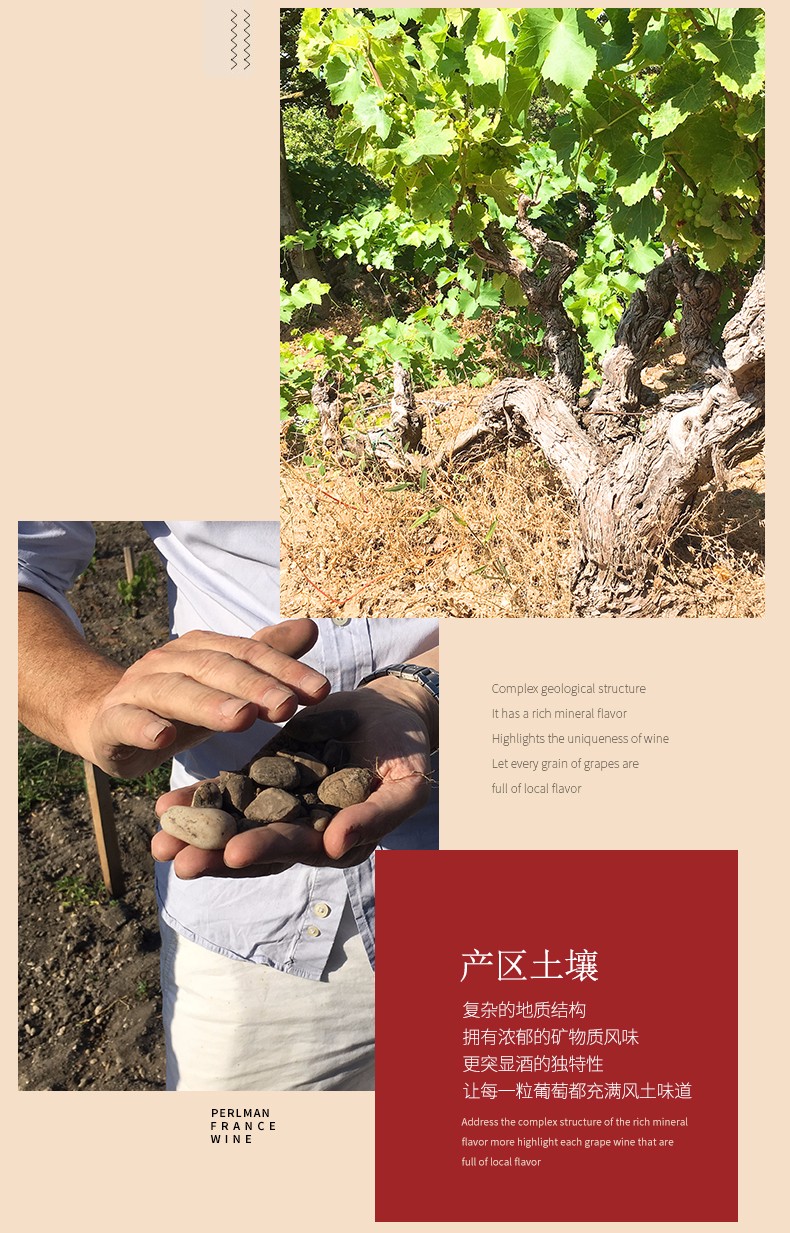 M 法国原瓶红酒 进口 帕尔曼侯爵干红葡萄酒7