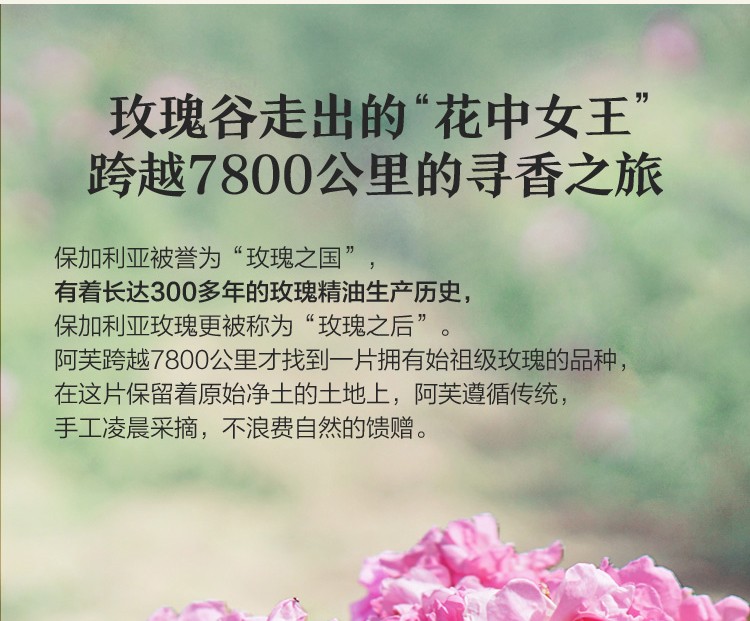 阿芙（AFU） 大马士革玫瑰纯露爽肤水补水保湿柔肤水湿敷水护肤品水提亮肤色 玫瑰纯露组合装425ml