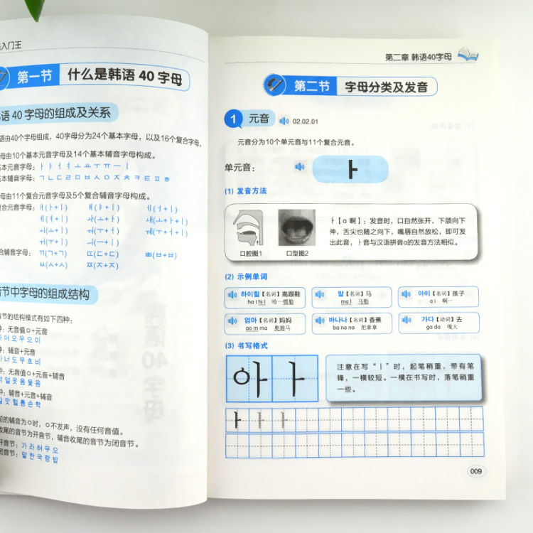 正版图书零基础语入门王标准国语自学入门书 中译出版社 原中国对 摘要书评试读 京东图书