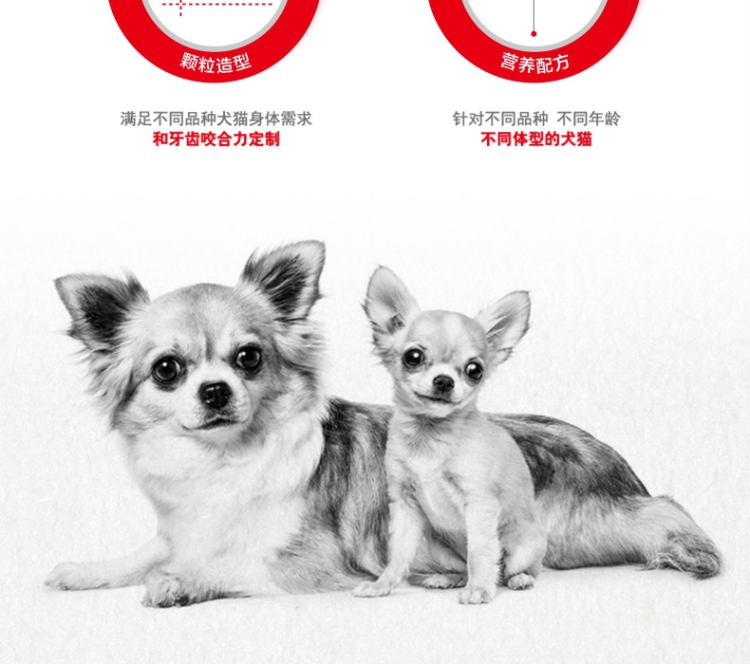 皇家（ROYAL CANIN） 狗粮 CC优选12月龄以上全犬种成犬粮 8kg