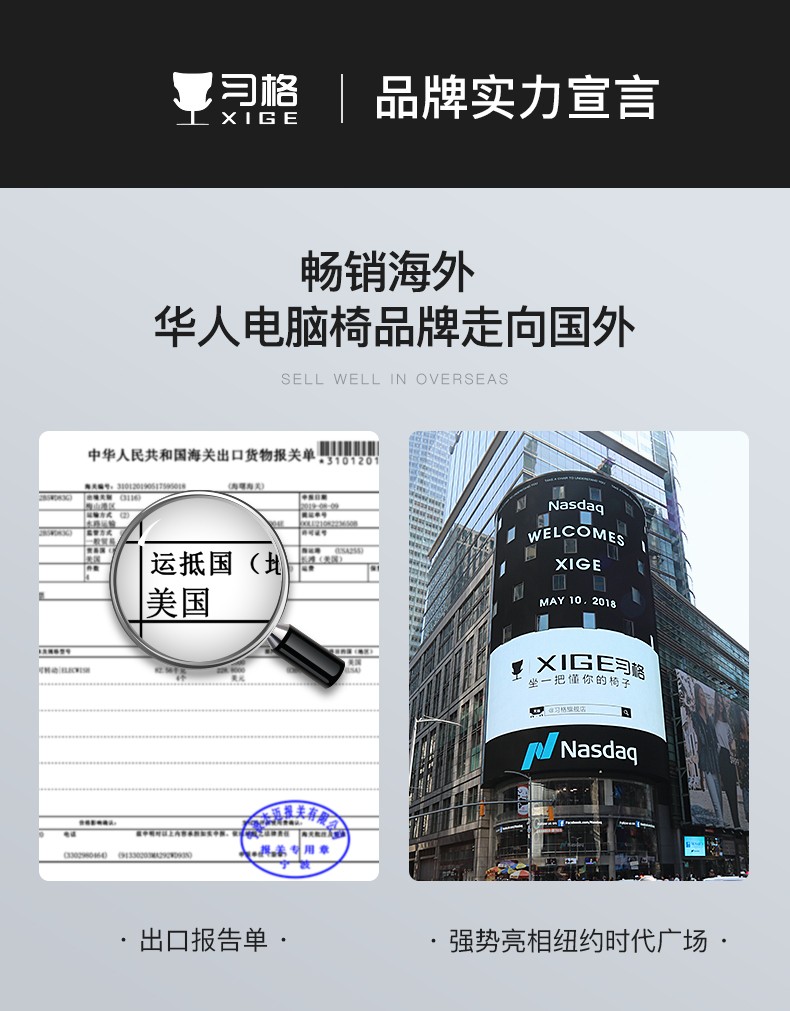 习格(XIGE)家用电脑椅学生座椅学习椅宿舍书房椅子升降椅转椅简约办公椅 910 白框黑色