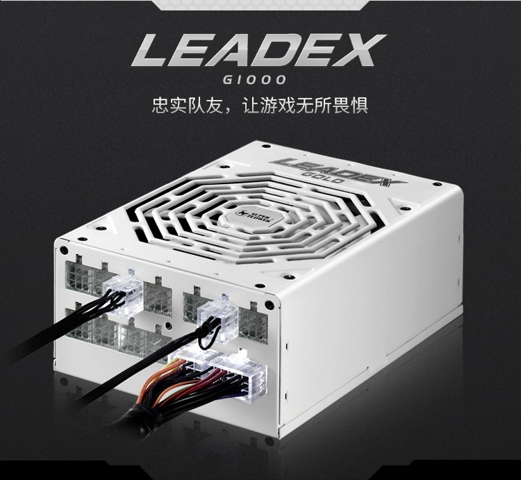 振华（SUPER FLOWER）台式机电源 金牌全模组 LEADEXG1000W  十年保固 LEADEX G1000W(主动式/ATX电源）