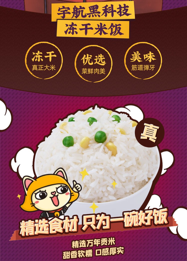 海福盛 FD冻干 台式卤肉饭 自热米饭 125g*4盒 图2