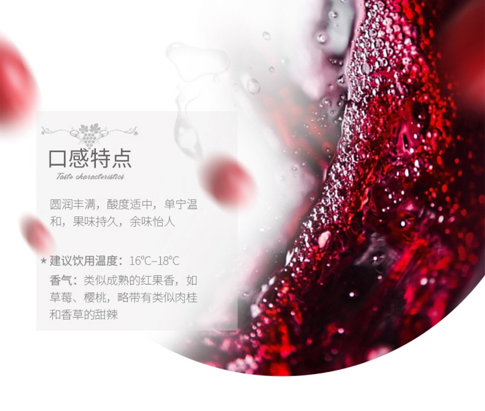 星得斯拉丁之星红标智利原瓶进口红酒13度赤