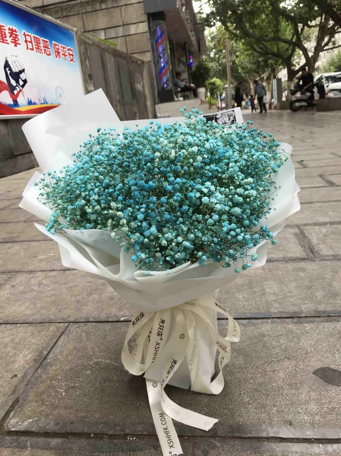 花仙居 鲜得利鲜花速递红色粉色蓝色满天星鲜花礼盒花束送闺蜜朋友