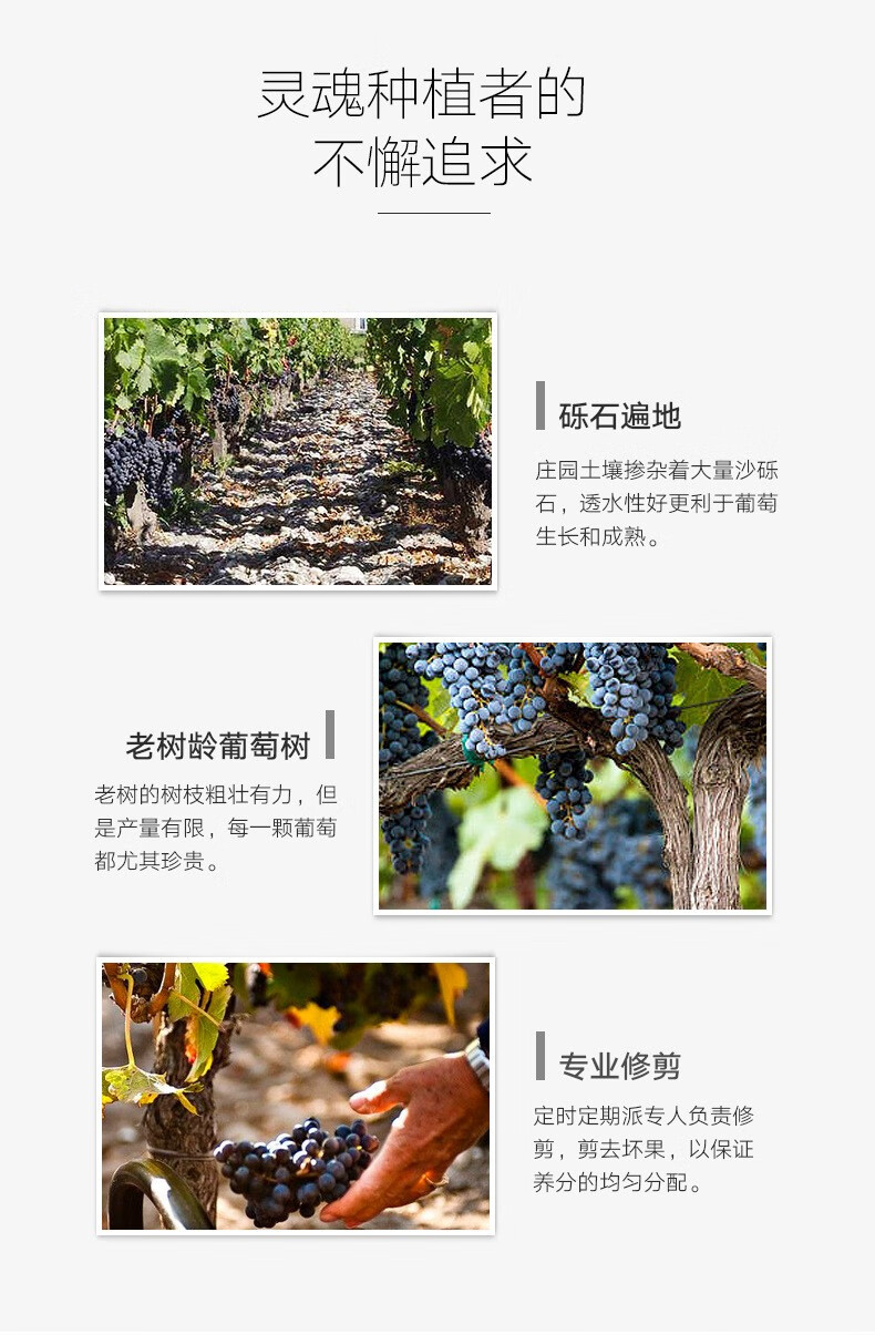 张裕先锋 原瓶西班牙进口红酒 兰吉斯公爵干红