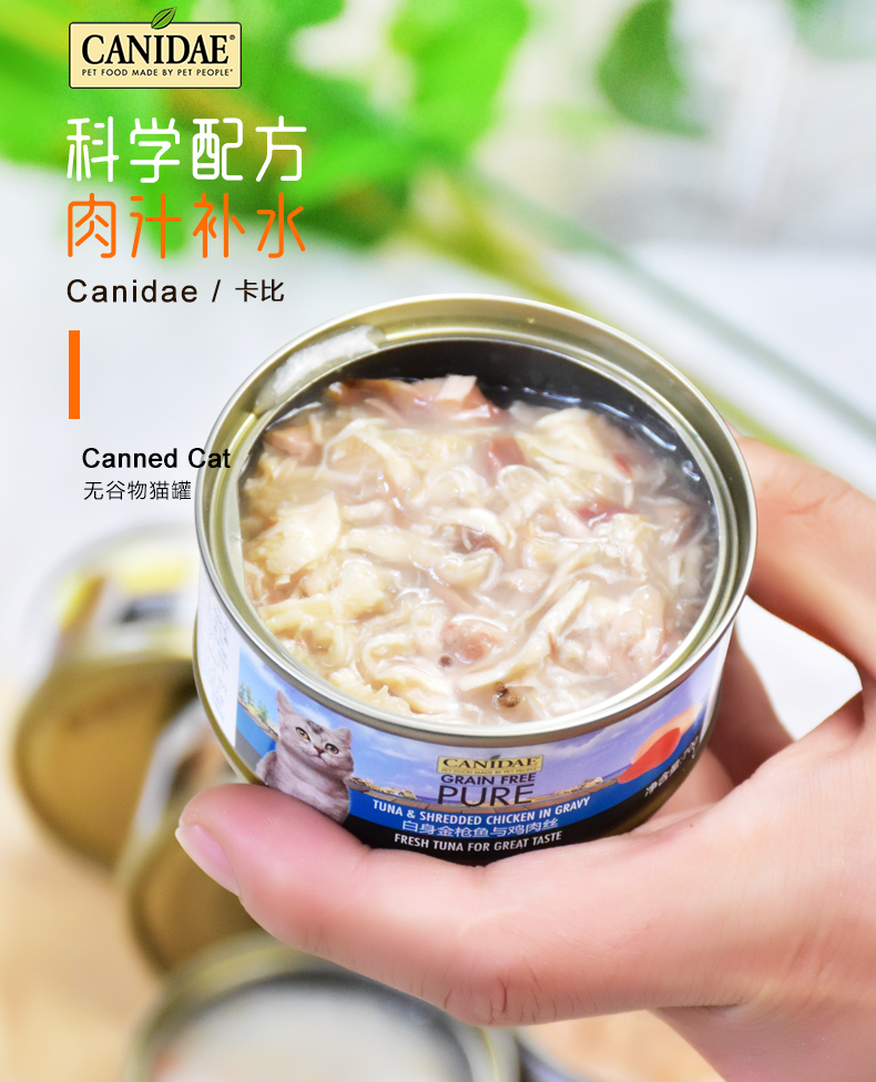 【上新惊喜价】canidae卡比猫罐猫咪主食罐头成幼猫进口猫湿粮猫罐头