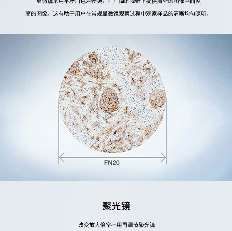 奥林巴斯CX33生物显微镜临床级显微镜宠物医院科研*病理显微镜替代奥林巴斯CX31生物显微镜 三目