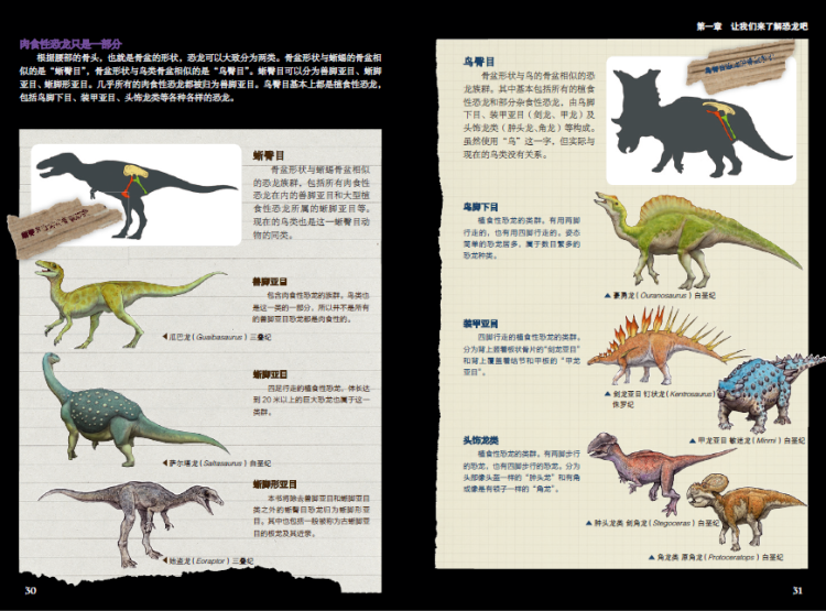 发现化石的方法 与恐龙共存的未来 生物名称索引 主编后记 作者介绍