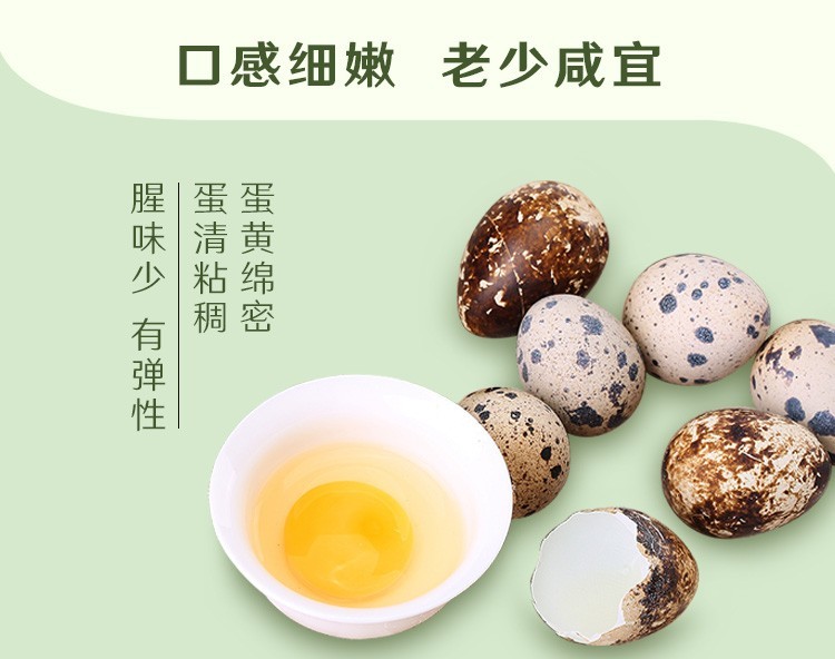 芮瑞 新鲜生鹌鹑蛋 105枚 图2