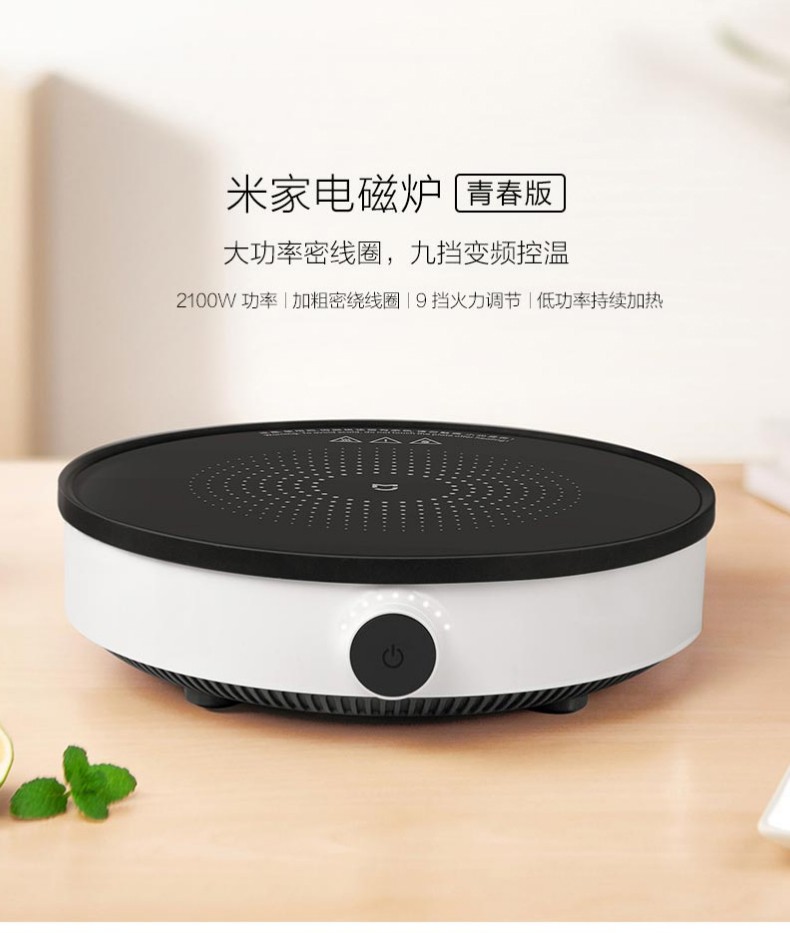 小米(MI)米家电磁炉青春版家用组合套装双频迷你型火锅汤锅火力智能温控灶 煮汤锅套装(米家电磁炉青春版+煮汤锅)