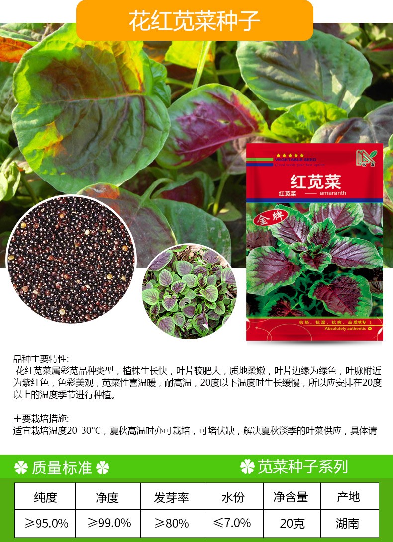 凤鸣雅世蔬菜种子红苋菜种子汉菜籽蔬菜野生菜农家菜四季菜苋野菜春
