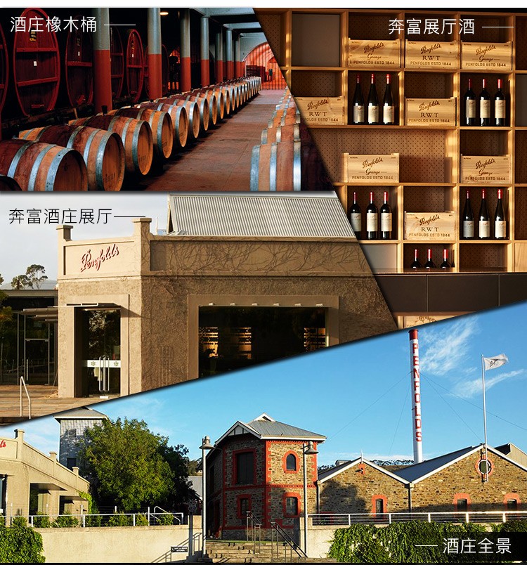 奔富 BIN系列红酒 澳洲原装原瓶进口 奔富葡萄