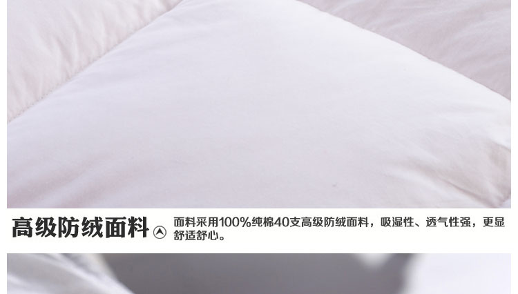 
                                        诗凯瑞 全棉防乳胶床垫可拆洗床垫子 酒店宾馆式床褥子 榻榻米学生软垫 120cm*200cm/17斤                