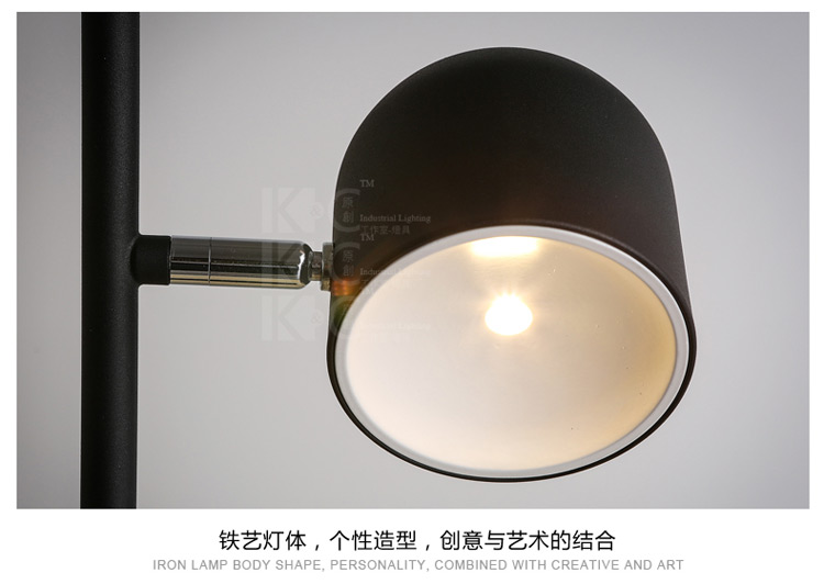 
                                        kc灯具个性北欧简约铁艺灯罩落地灯 客厅书房卧室创意落地灯 F3812-1黑色 白光                