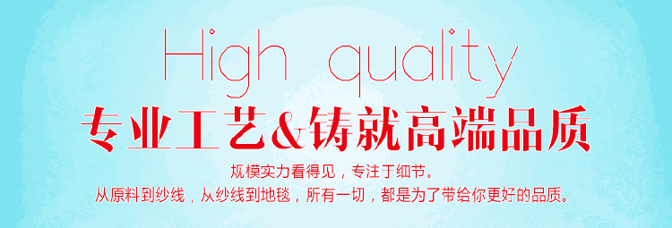 
                                        欧式客厅茶几地毯 现代简约混纺手工立体雕花卧室加厚地垫 1403B 1600MMx2300MM                