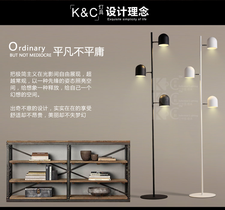 
                                        kc灯具个性北欧简约铁艺灯罩落地灯 客厅书房卧室创意落地灯 F3812-1黑色 白光                