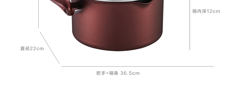 
                                        苏泊尔（SUPOR） 铝合金汤锅PT20K1 电磁炉通用 20cm                