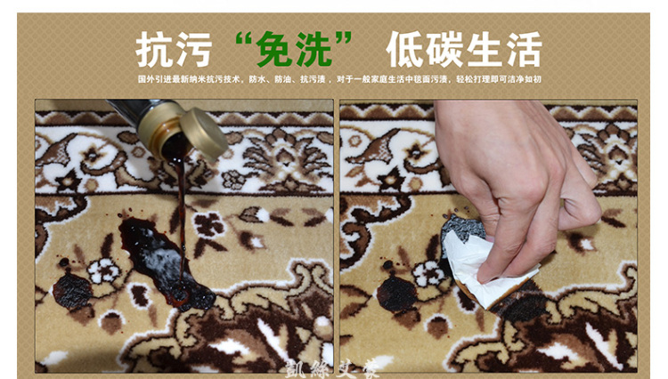 CasAmor现代高档免洗抗污地垫地毯 入户门厅进门门垫地垫浴室厨房卫生间防滑地垫脚垫定制 DT005绿色 800MMx1200MM