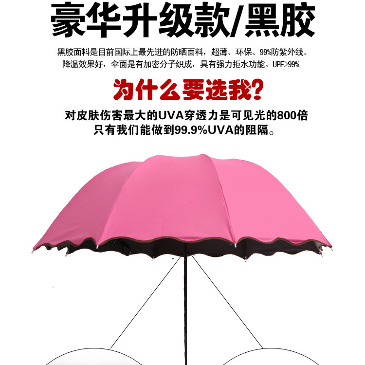 
                                        遇水开花晴雨伞 遮阳太阳伞折叠彩虹防晒紫外线黑胶 超强防晒防紫外线 可印广告伞 紫色                