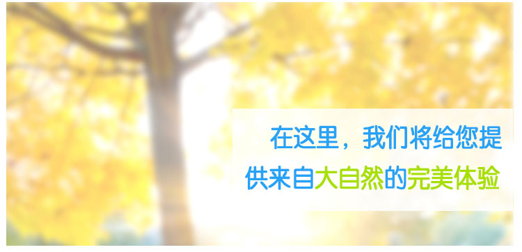 创意格板家居背景墙装饰架隔板机顶盒架墙壁置物柜电视墙装饰搁板 套餐2