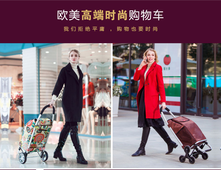 致丽生活 购物车买菜车小拉车爬楼折叠便携拉杆车铝合金手推行李车老年手拉车小拖车 大号/咖啡色 S35购物车