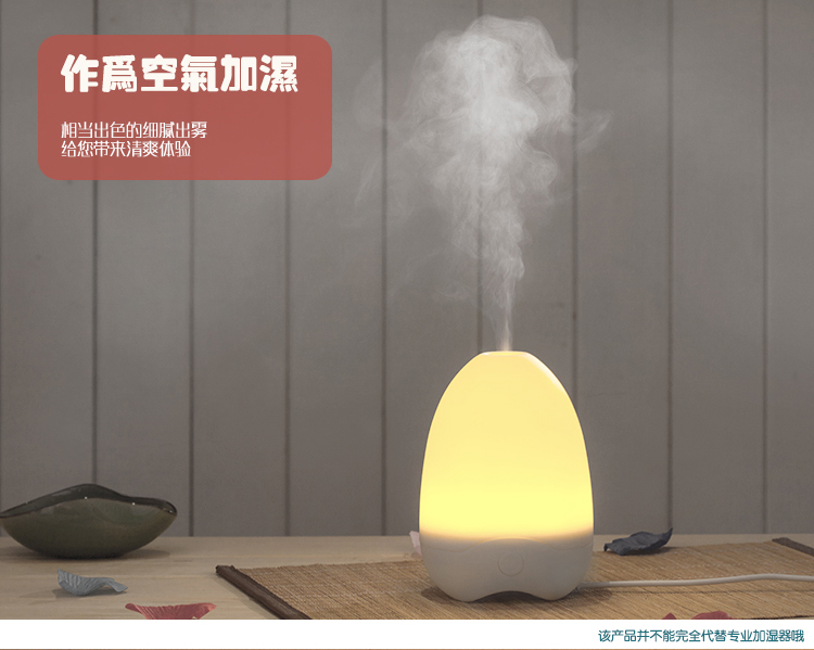 家用超静音精油香薰灯 负离子加湿器香薰炉净化空气小夜灯除味加湿一体机 创意礼品 生日礼物 白光