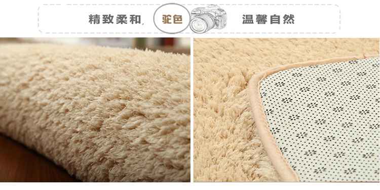 月之吻 北极绒地毯加厚客厅地毯卧室地毯简约时尚纯色 咖啡色 40*60CM