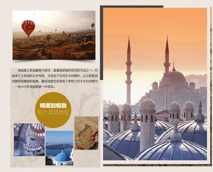 
                                        优立地毯 土耳其进口波斯地毯客厅 现代简约欧式地毯卧室沙发茶几 TH-216c 1600MMx2300MM                
