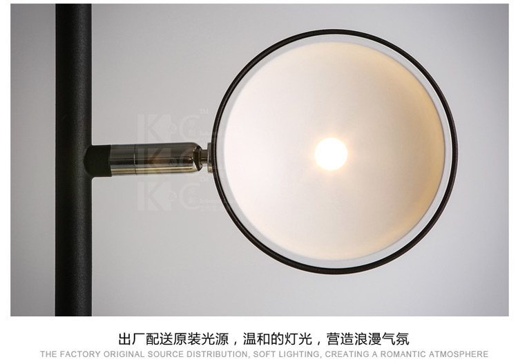 
                                        kc灯具个性北欧简约铁艺灯罩落地灯 客厅书房卧室创意落地灯 F3812-1黑色 白光                