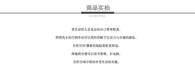 优立地毯 埃及进口地毯 客厅地毯卧室满铺地毯床边毯 IN-024 160CMX235CM