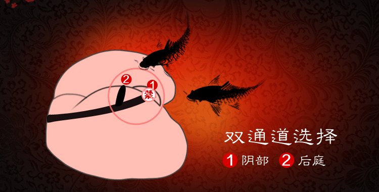 真肤乐男用自慰器阴道倒膜飞机杯 充气娃娃半身倒模 金玉良缘之红娘