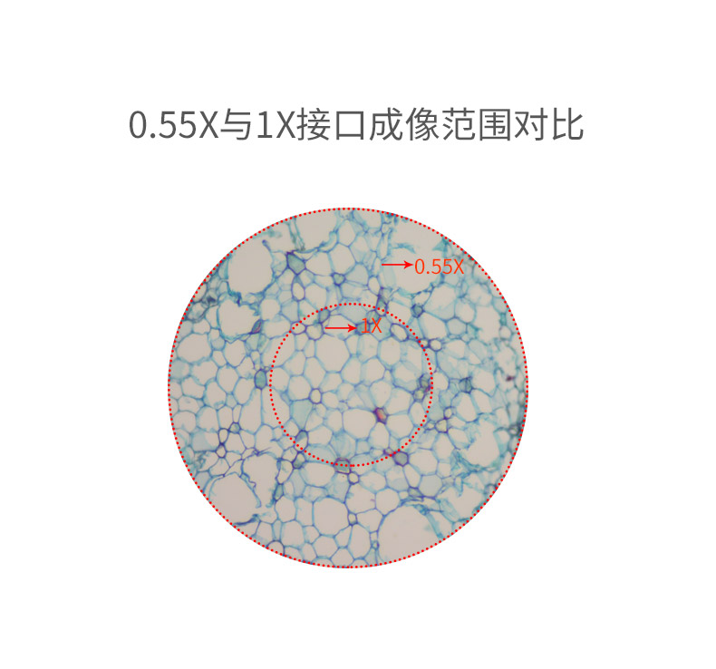 徕卡 DM500双目生物显微镜LeicaDM500三目生物显微镜