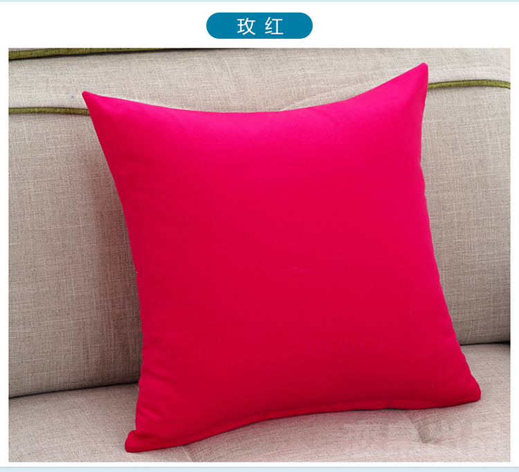 
                                        草木之语 抱枕靠垫枕办公室午睡枕套芯护腰枕靠坐垫 青枝 40cm*40cm                