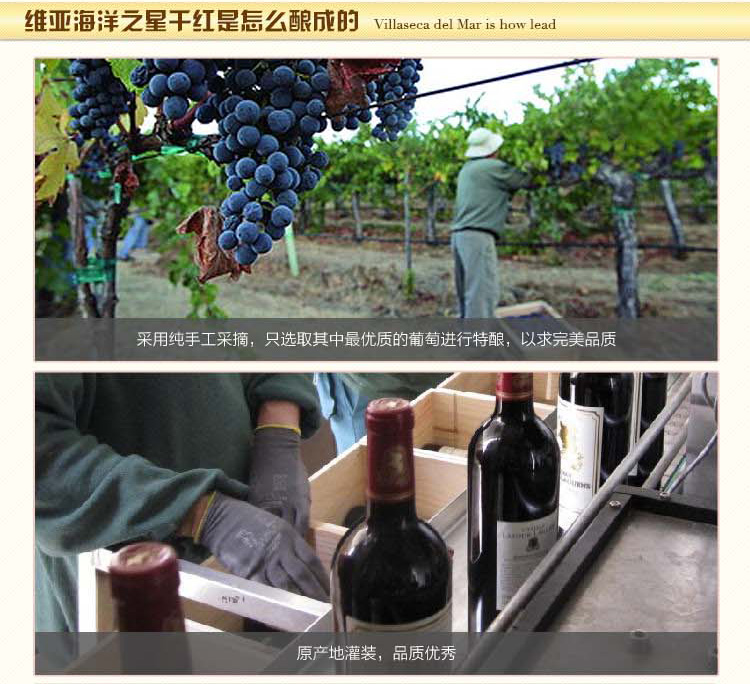 西班牙原装进口 维亚海洋之星干红葡萄酒750m