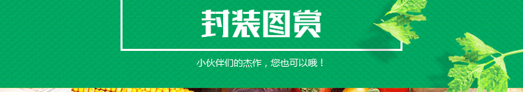 高端立式全自动真空食品保鲜机包装封口塑封机   商用干湿小型抽真空机家用真空封口机 黑色