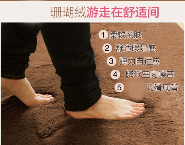 
                                        茵凡 新款榻榻米珊瑚绒加厚防滑地垫儿童宝宝爬行垫日式家居飘窗垫可定制 咖啡色 300*200CM                