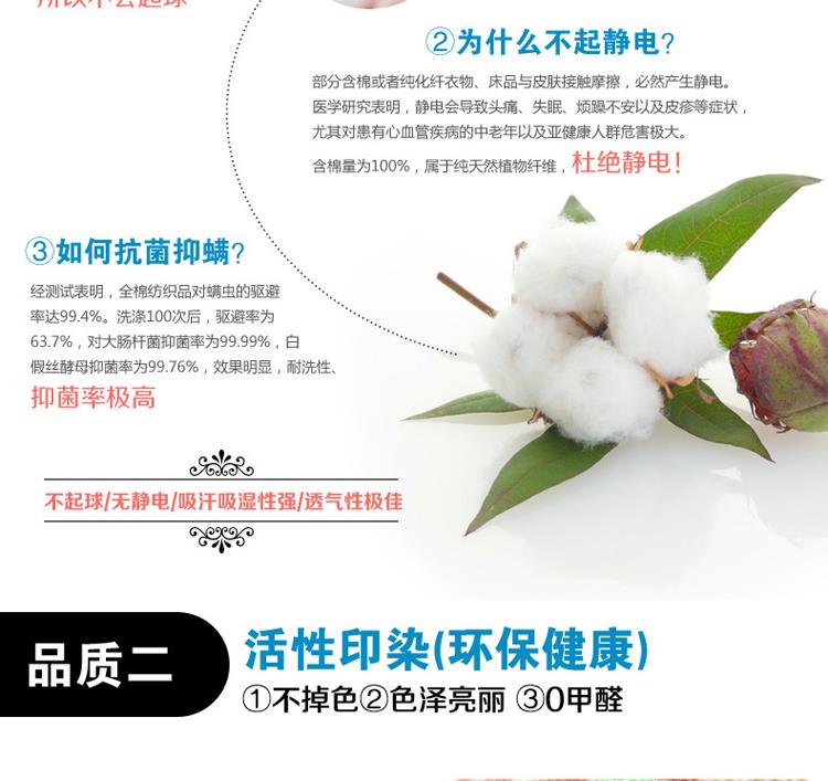 青春派家纺 全棉加厚保暖磨毛床单 1.2米/1.5米/1.8米/2.0米床适用 梦想秀 200*230cm