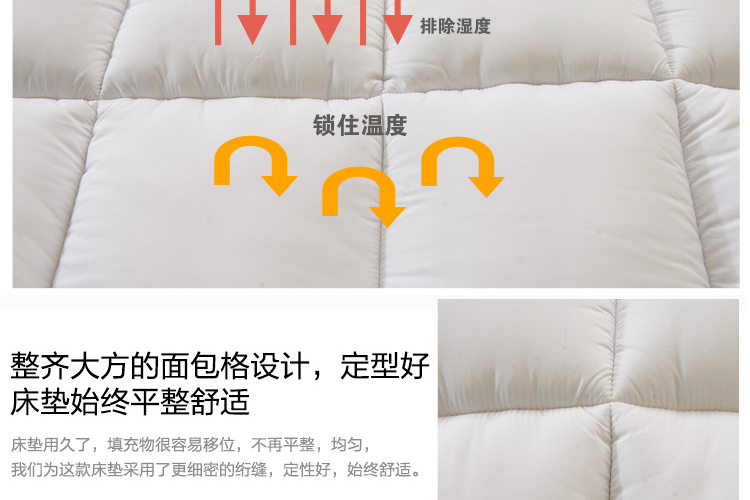 
                                        允儿羽丝绒床褥冬季学生加厚羽丝绒床垫酒店榻榻米床褥子可折叠单双人 灰-5cm 180*200                